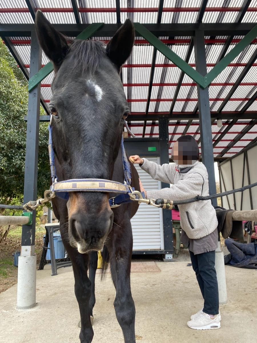 1c39f3583f9cb14b945f144e1ae7953d-1769605780.jpg 1c39f3583f9cb14b945f144e1ae7953d-1769605780.jpg