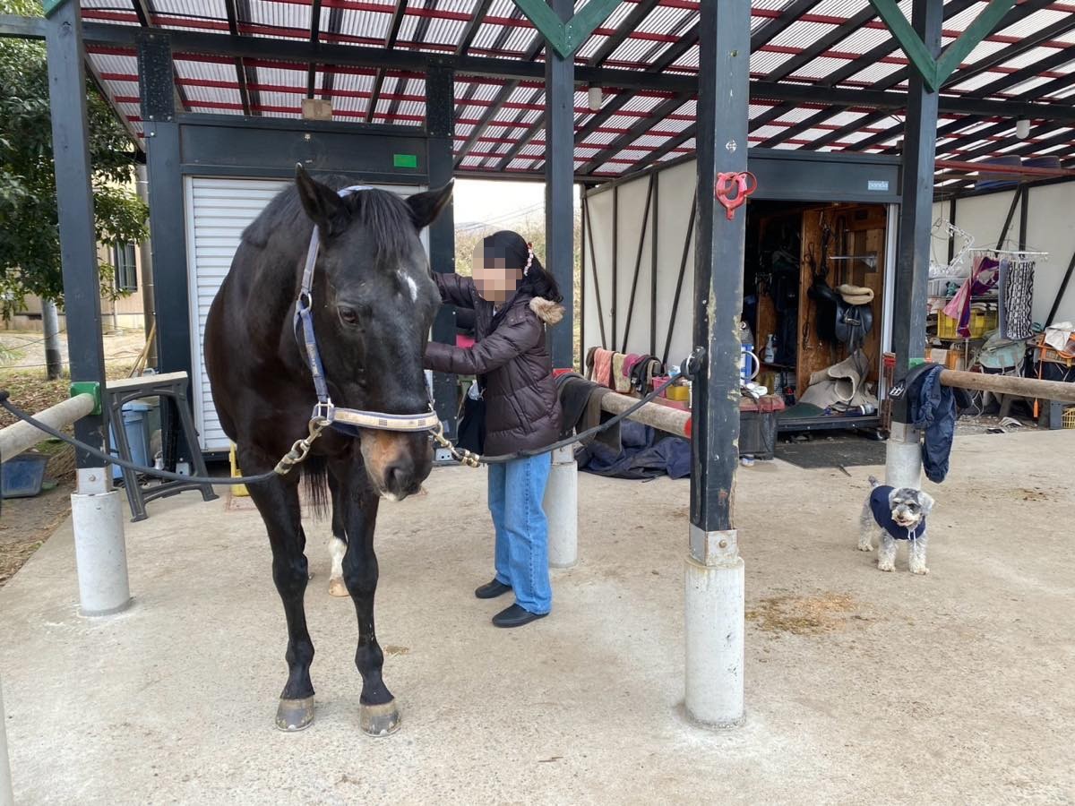 cb24c5cbc609d3ee26759200da6dabb1-1769606504.jpg cb24c5cbc609d3ee26759200da6dabb1-1769606504.jpg