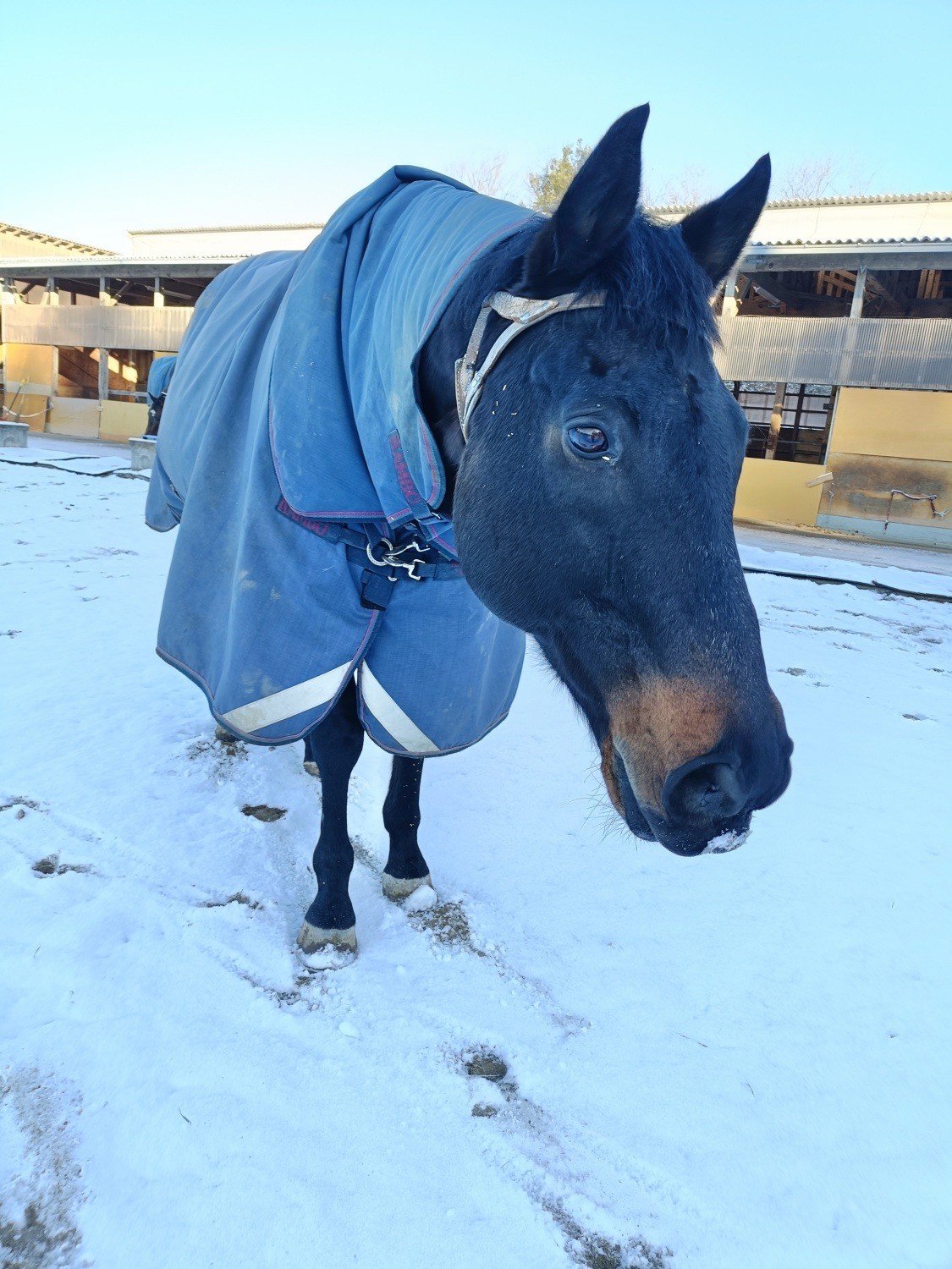 f8e10464afe2aca329c079603f4f8a2b-1772114540.jpg f8e10464afe2aca329c079603f4f8a2b-1772114540.jpg