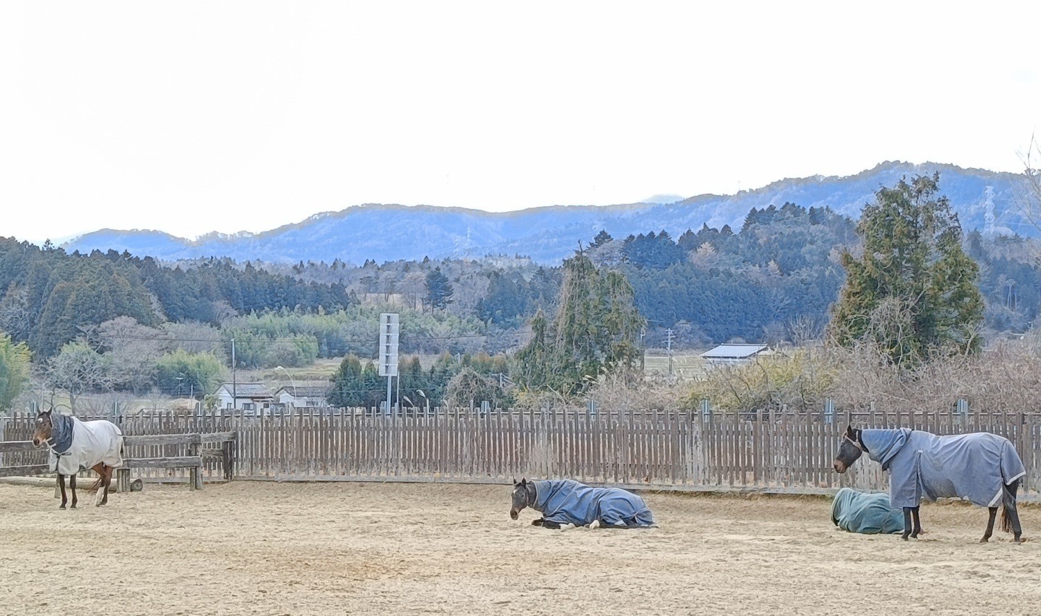 f8e10464afe2aca329c079603f4f8a2b-1772112721.jpg f8e10464afe2aca329c079603f4f8a2b-1772112721.jpg