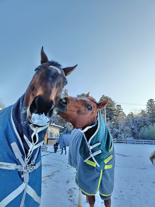 54c55de3a6ca445e0c21797df0438d11-1772066915.jpg 54c55de3a6ca445e0c21797df0438d11-1772066915.jpg