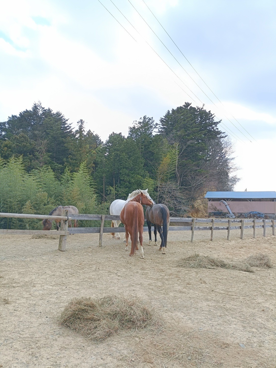 9c097d1219033238ca65794025e424b4-1772112783.jpg 9c097d1219033238ca65794025e424b4-1772112783.jpg