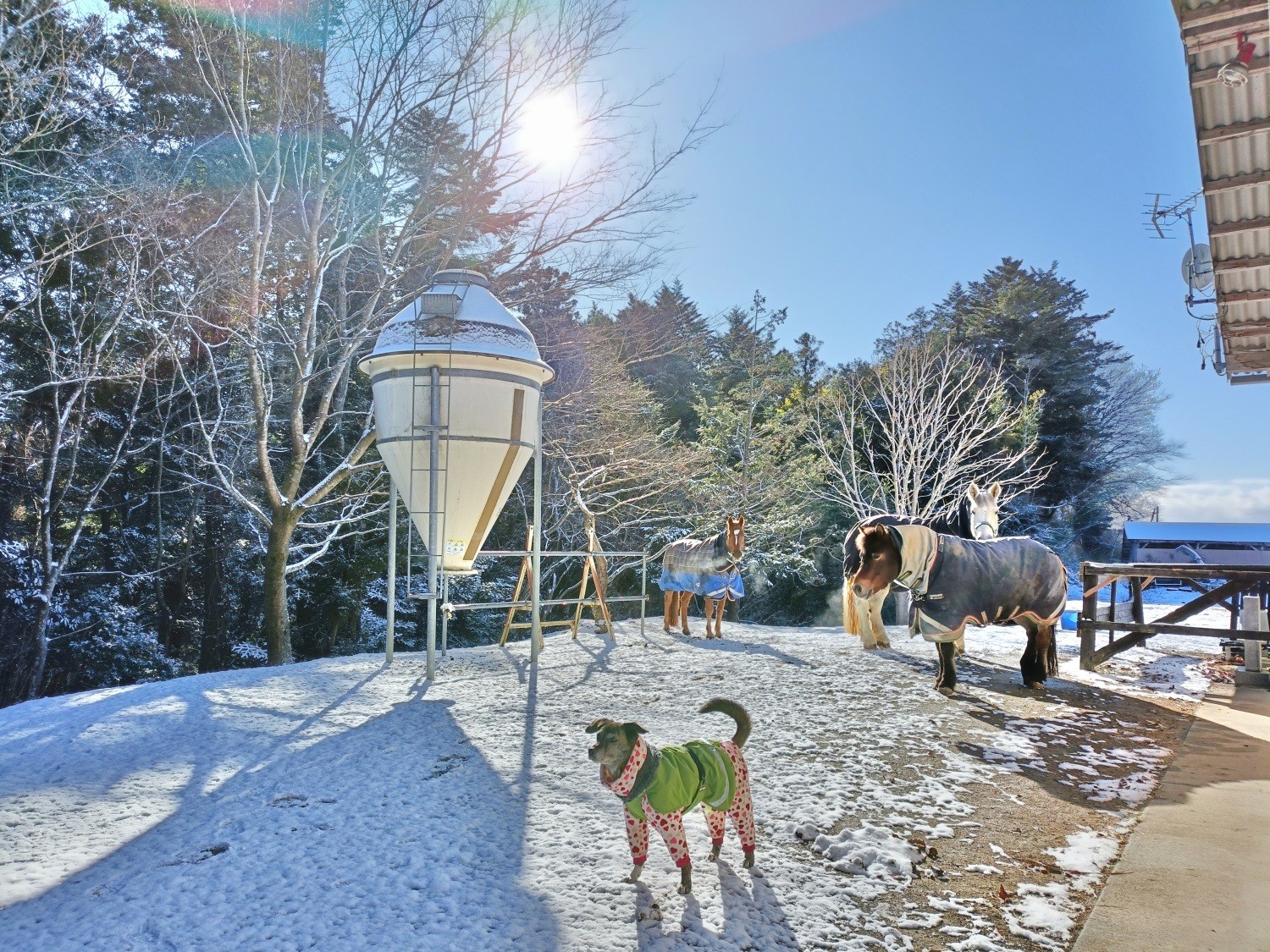 9c097d1219033238ca65794025e424b4-1772066788.jpg 9c097d1219033238ca65794025e424b4-1772066788.jpg