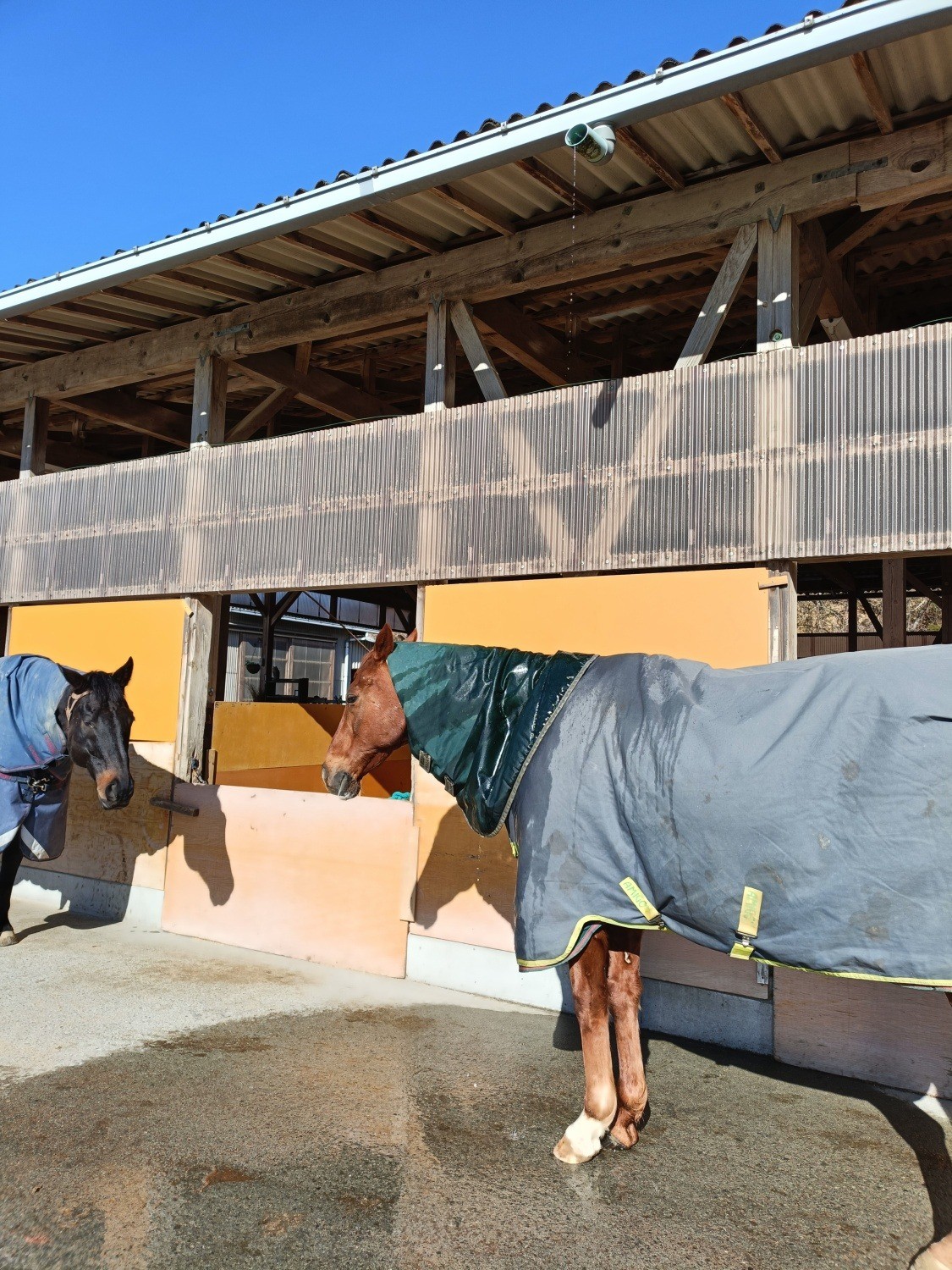 44aa706ea620718997e96900c79518f8-1772114671.jpg 44aa706ea620718997e96900c79518f8-1772114671.jpg