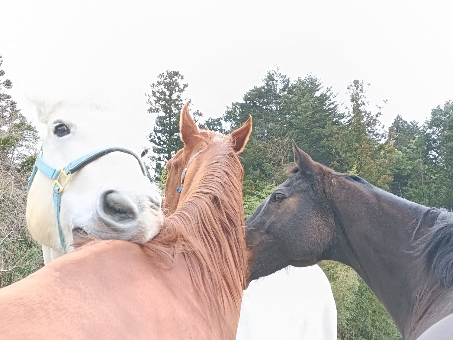 44aa706ea620718997e96900c79518f8-1772112829.jpg 44aa706ea620718997e96900c79518f8-1772112829.jpg