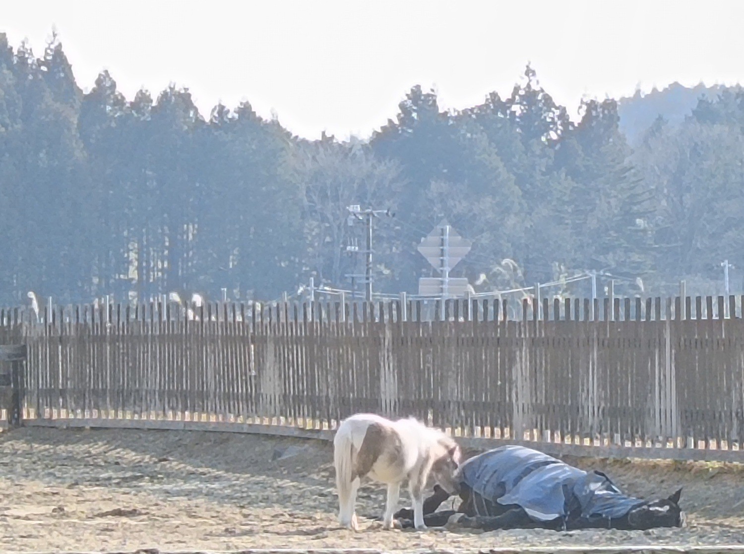 573a8fe5692983b04094cfe706e6263b-1772114785.jpg 573a8fe5692983b04094cfe706e6263b-1772114785.jpg