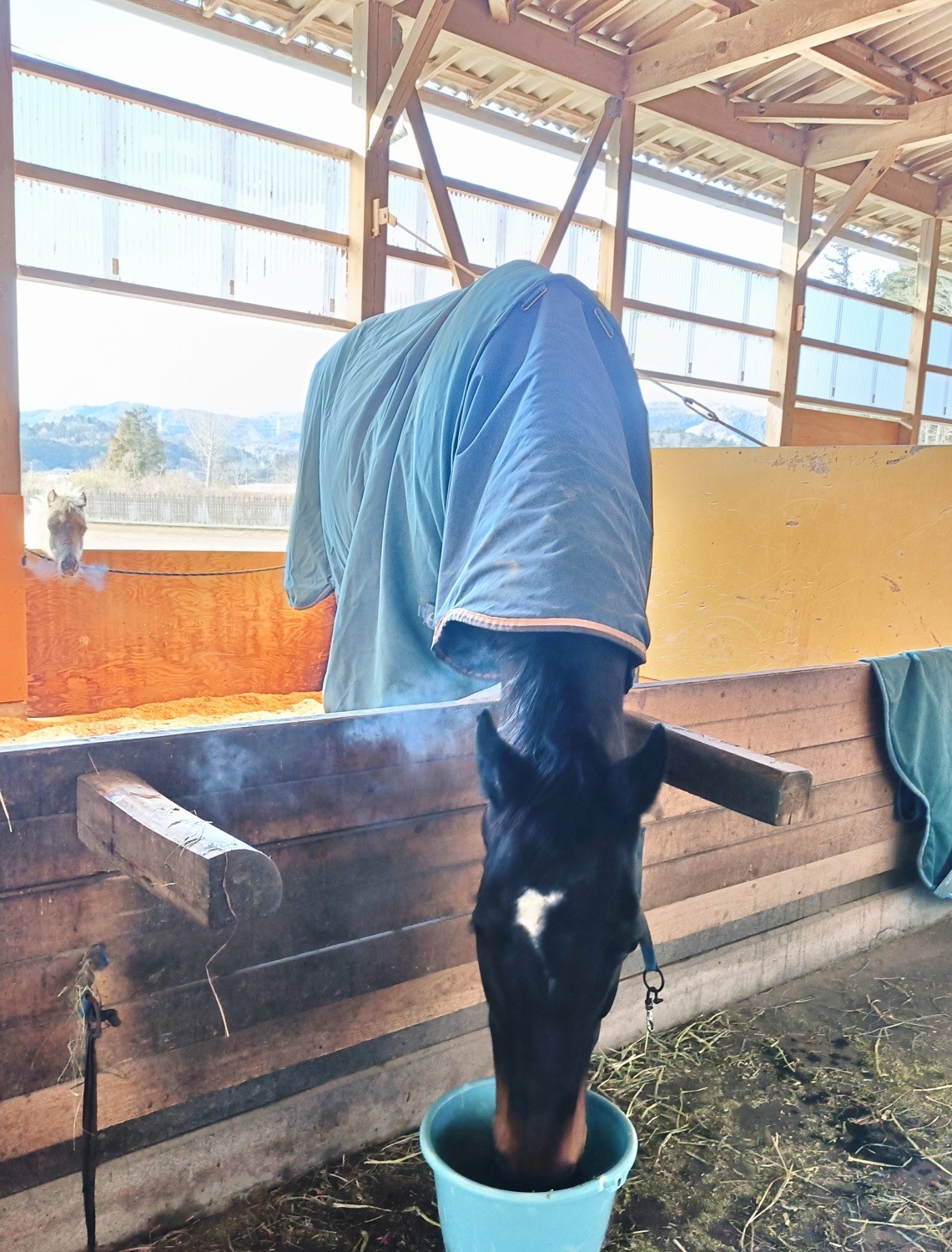 d89b0baea5b36583c02d895eb1966ce0-1772113001.jpg d89b0baea5b36583c02d895eb1966ce0-1772113001.jpg