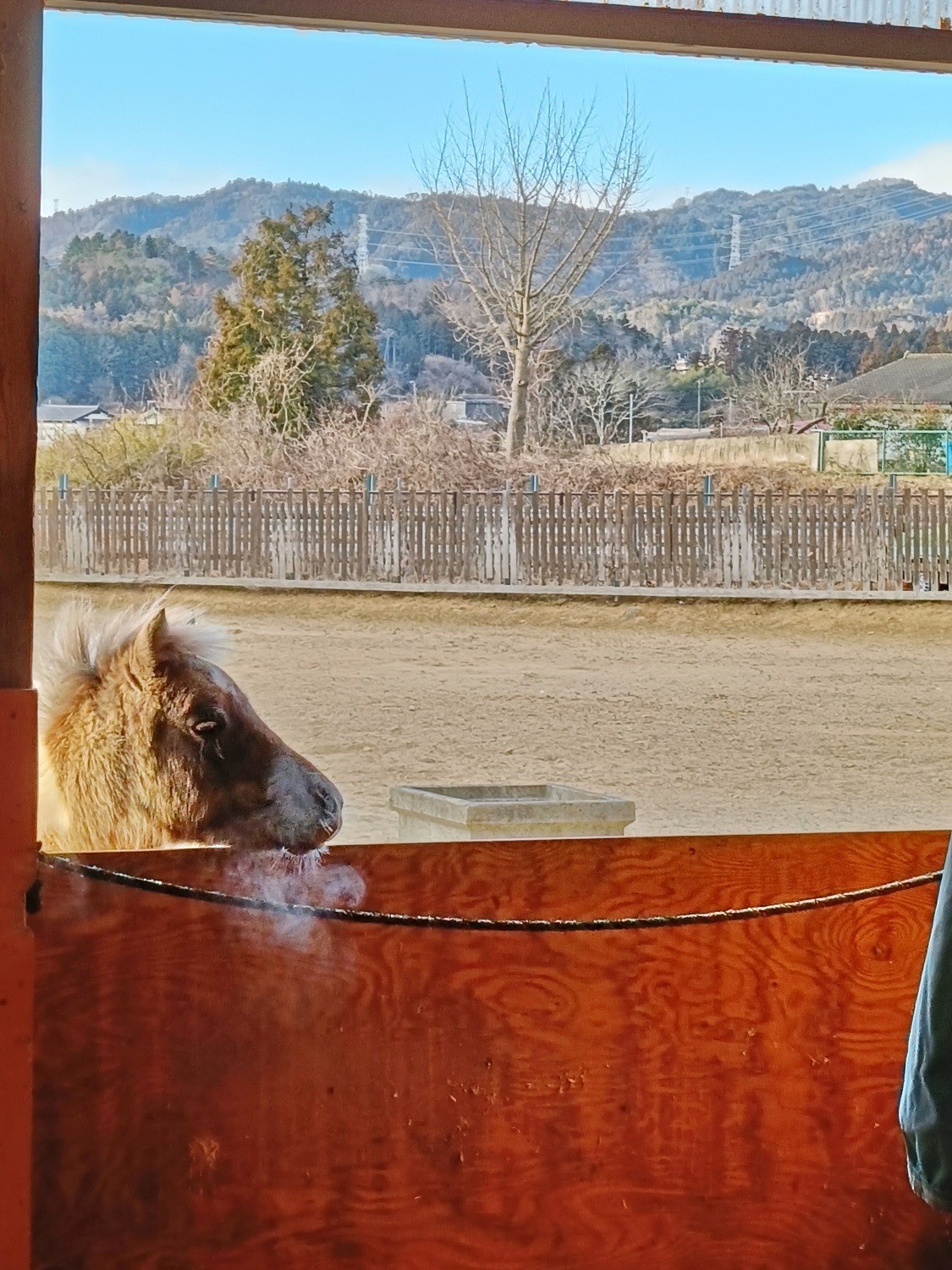 824ebe5c61e55a5a22a6e7e82d2abdac-1772113091.jpg 824ebe5c61e55a5a22a6e7e82d2abdac-1772113091.jpg