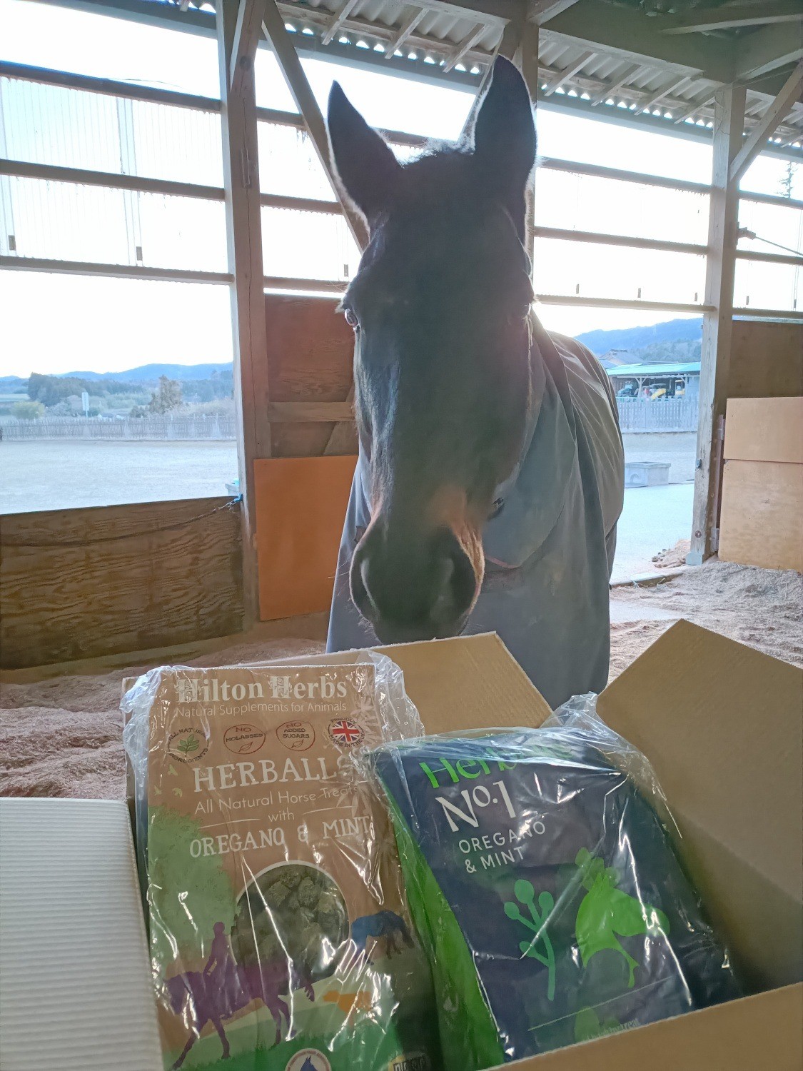 18efebb730e8910a68b48880ca5ed38e-1772115085.jpg 18efebb730e8910a68b48880ca5ed38e-1772115085.jpg