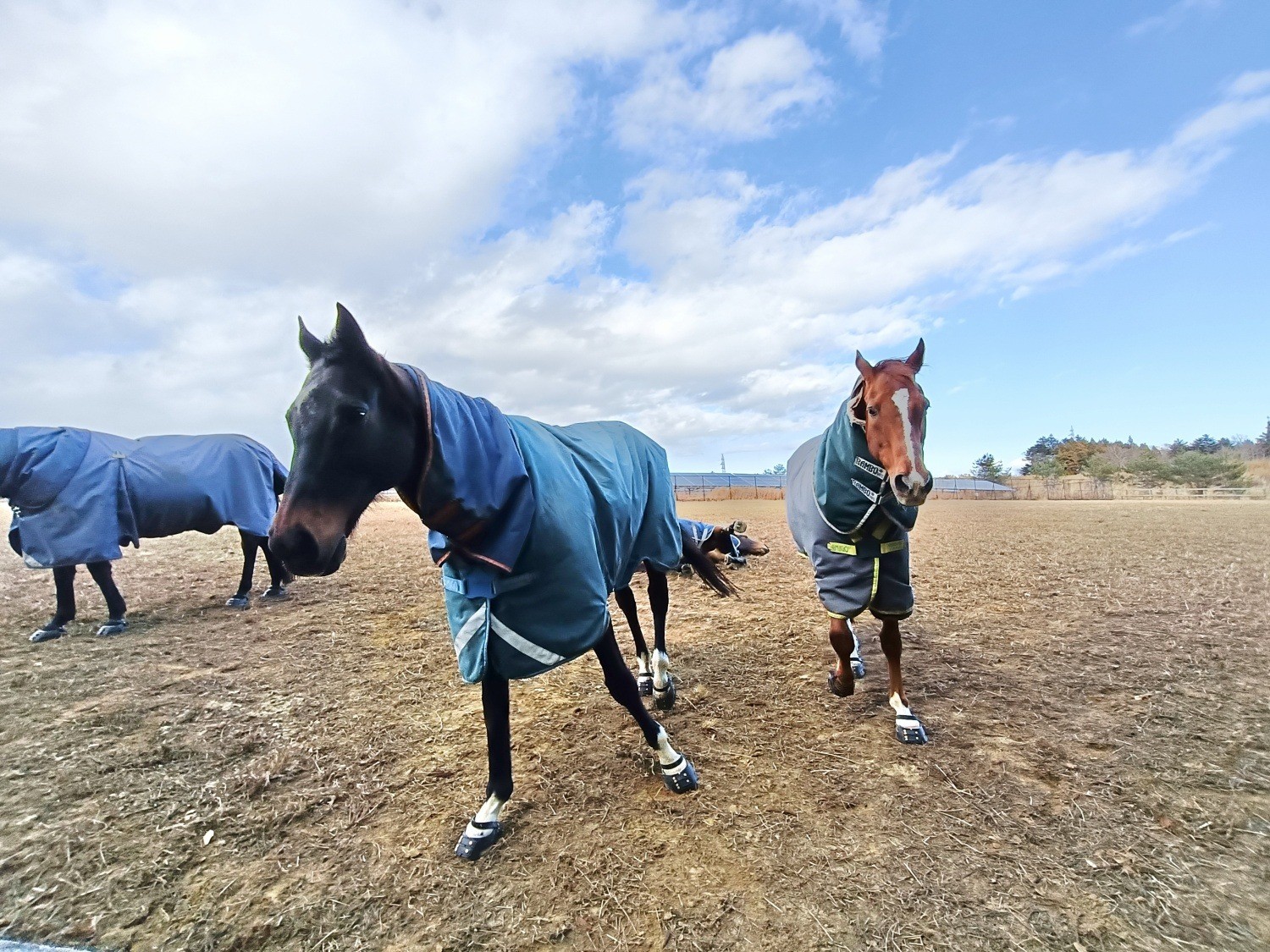 18efebb730e8910a68b48880ca5ed38e-1772113263.jpg 18efebb730e8910a68b48880ca5ed38e-1772113263.jpg