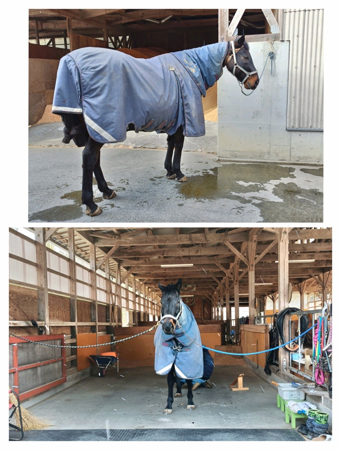 93812f5ff7b309455e0ea1dc5ca9e1b6-1772115161.jpg 93812f5ff7b309455e0ea1dc5ca9e1b6-1772115161.jpg