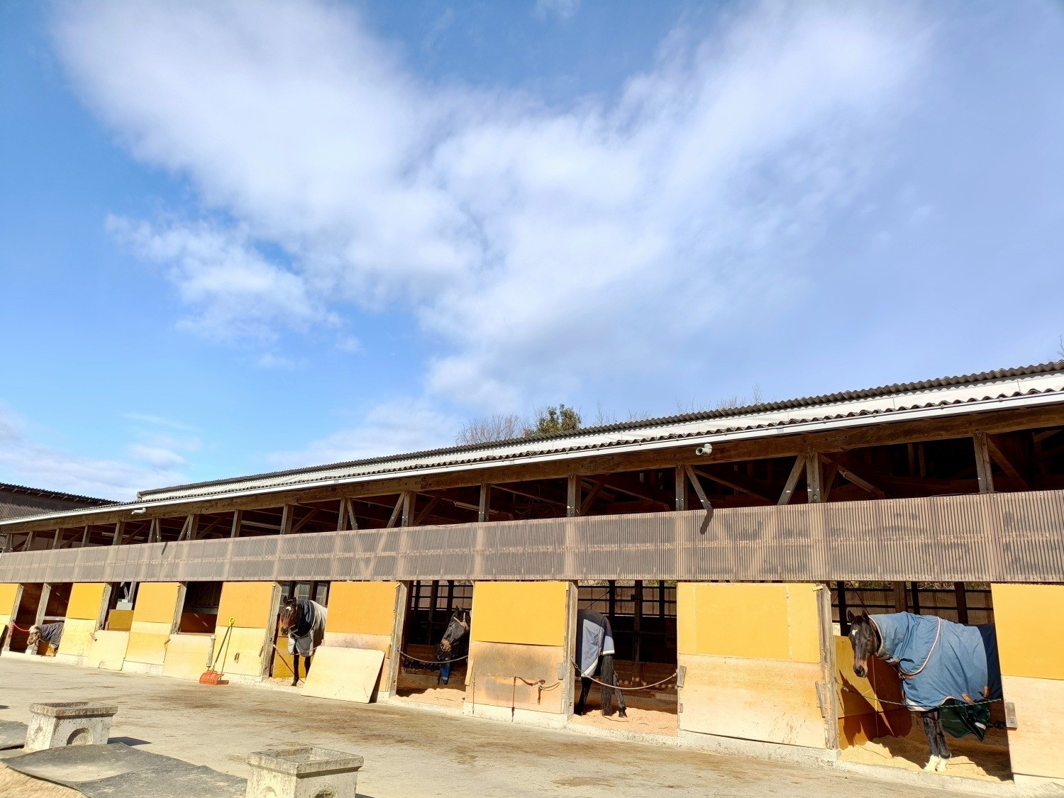 93812f5ff7b309455e0ea1dc5ca9e1b6-1772113324.jpg 93812f5ff7b309455e0ea1dc5ca9e1b6-1772113324.jpg