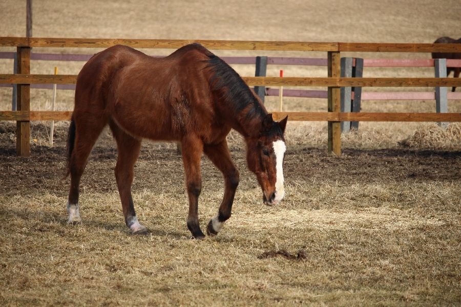 b700767d2ebdf581615f5468f2c0f53c-1772027290.jpg b700767d2ebdf581615f5468f2c0f53c-1772027290.jpg