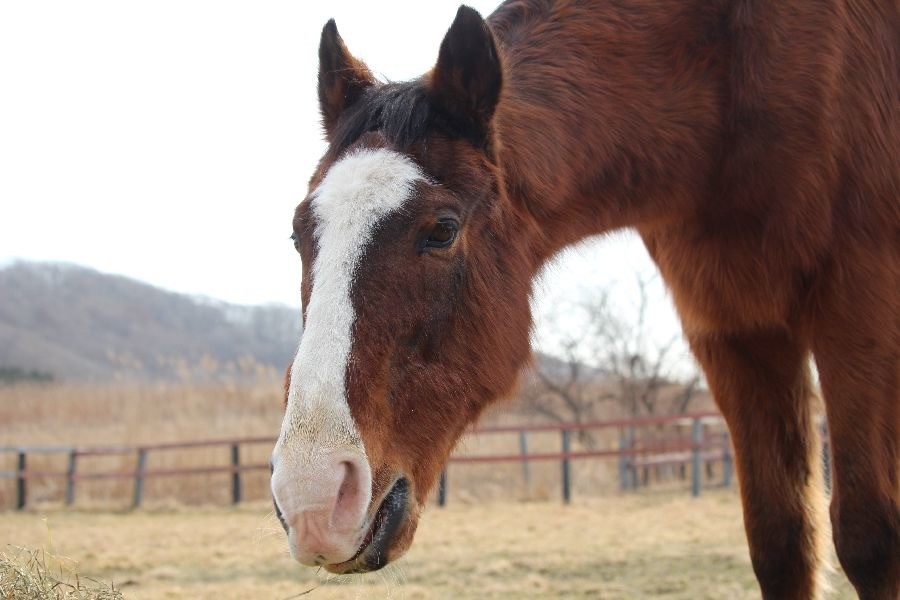 d65fcfa31e5ee5b7ad91f409953fafda-1772027571.jpg d65fcfa31e5ee5b7ad91f409953fafda-1772027571.jpg