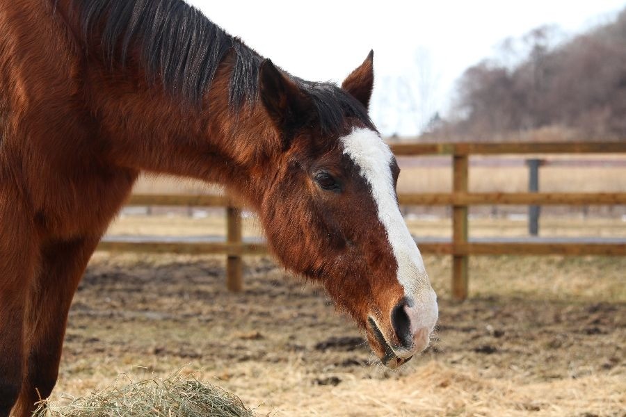 a29e2110653103752f38585752272145-1772027592.jpg a29e2110653103752f38585752272145-1772027592.jpg