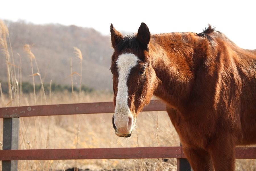 c3733f6c149936d1e544937a9632da61-1772027644.jpg c3733f6c149936d1e544937a9632da61-1772027644.jpg