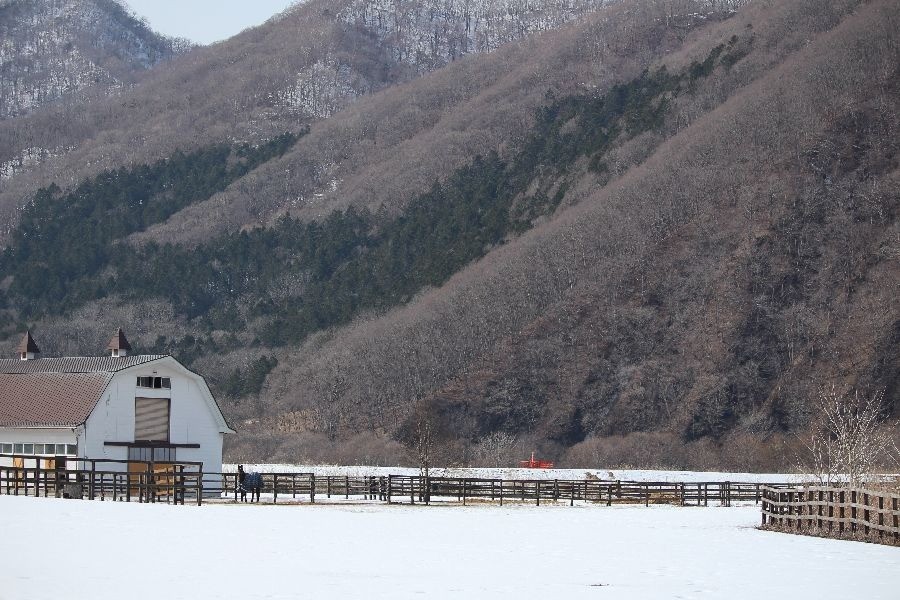 45c8f64aa915e5bc2436dd5f91210e31-1772112888.jpg 45c8f64aa915e5bc2436dd5f91210e31-1772112888.jpg