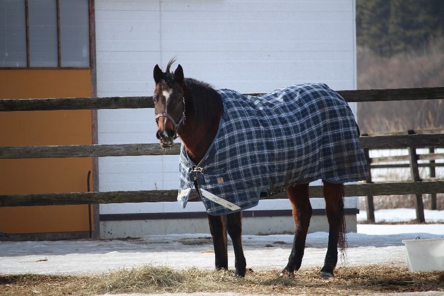 aa265b560df1a591400bcd191413db5e-1772112911.jpg aa265b560df1a591400bcd191413db5e-1772112911.jpg