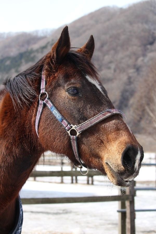 03d109b2c134bb9cc20bb722820e0b66-1772112920.jpg 03d109b2c134bb9cc20bb722820e0b66-1772112920.jpg