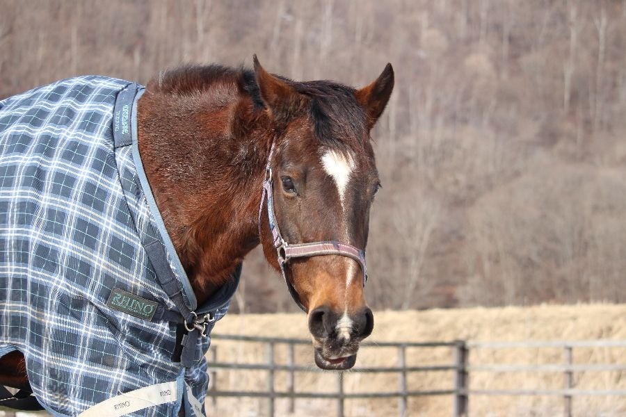 5476faae9dc8bad2fdd8bd6b7cf24b40-1772113151.jpg 5476faae9dc8bad2fdd8bd6b7cf24b40-1772113151.jpg