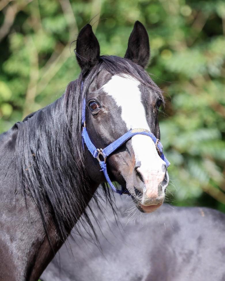 7ca6829b7e97251d6a5a135de88d7266-1771081667.jpg 7ca6829b7e97251d6a5a135de88d7266-1771081667.jpg