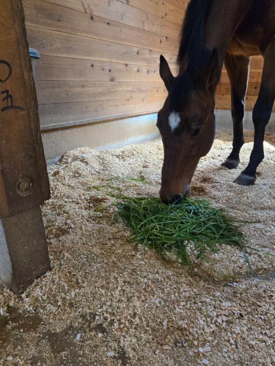 a2de1386cc650298454b5ba7e1fc4dd5-1774590289.jpg a2de1386cc650298454b5ba7e1fc4dd5-1774590289.jpg