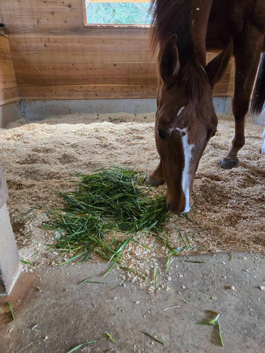 3953f69223b0b5cea72e3b621092a652-1774590271.jpg 3953f69223b0b5cea72e3b621092a652-1774590271.jpg