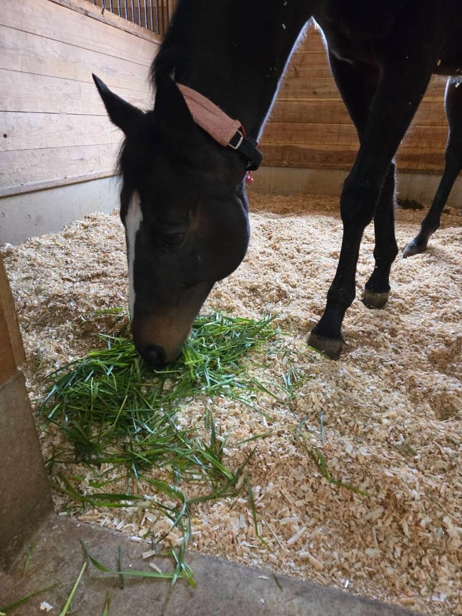 528b2d76df0024417df5380bc922d73a-1774590339.jpg 528b2d76df0024417df5380bc922d73a-1774590339.jpg