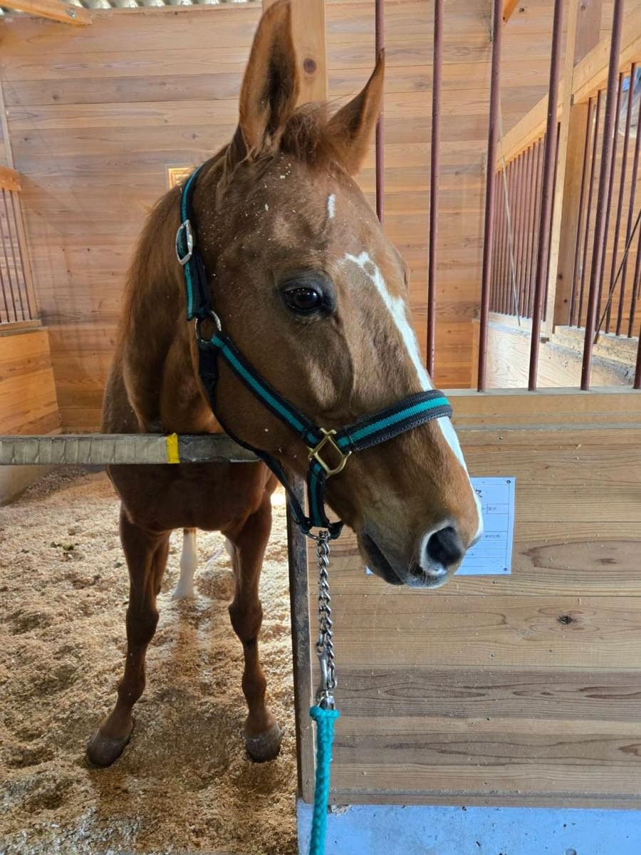 9672a4d5186f872fde1c518c1f265098-1774589009.jpg 9672a4d5186f872fde1c518c1f265098-1774589009.jpg