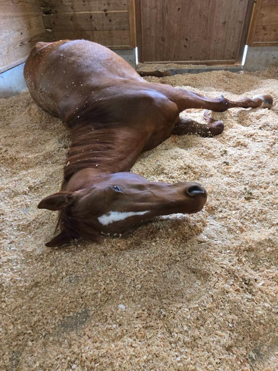 27f5fd1d4bebe9d95f1ad12f9c77a044-1774590373.jpg 27f5fd1d4bebe9d95f1ad12f9c77a044-1774590373.jpg