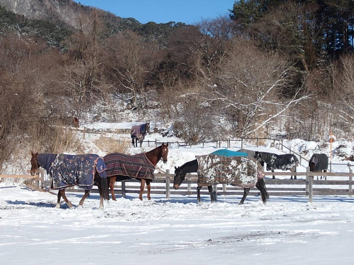 f55551570285587415c3748b4cead69f-1772615788.jpg f55551570285587415c3748b4cead69f-1772615788.jpg