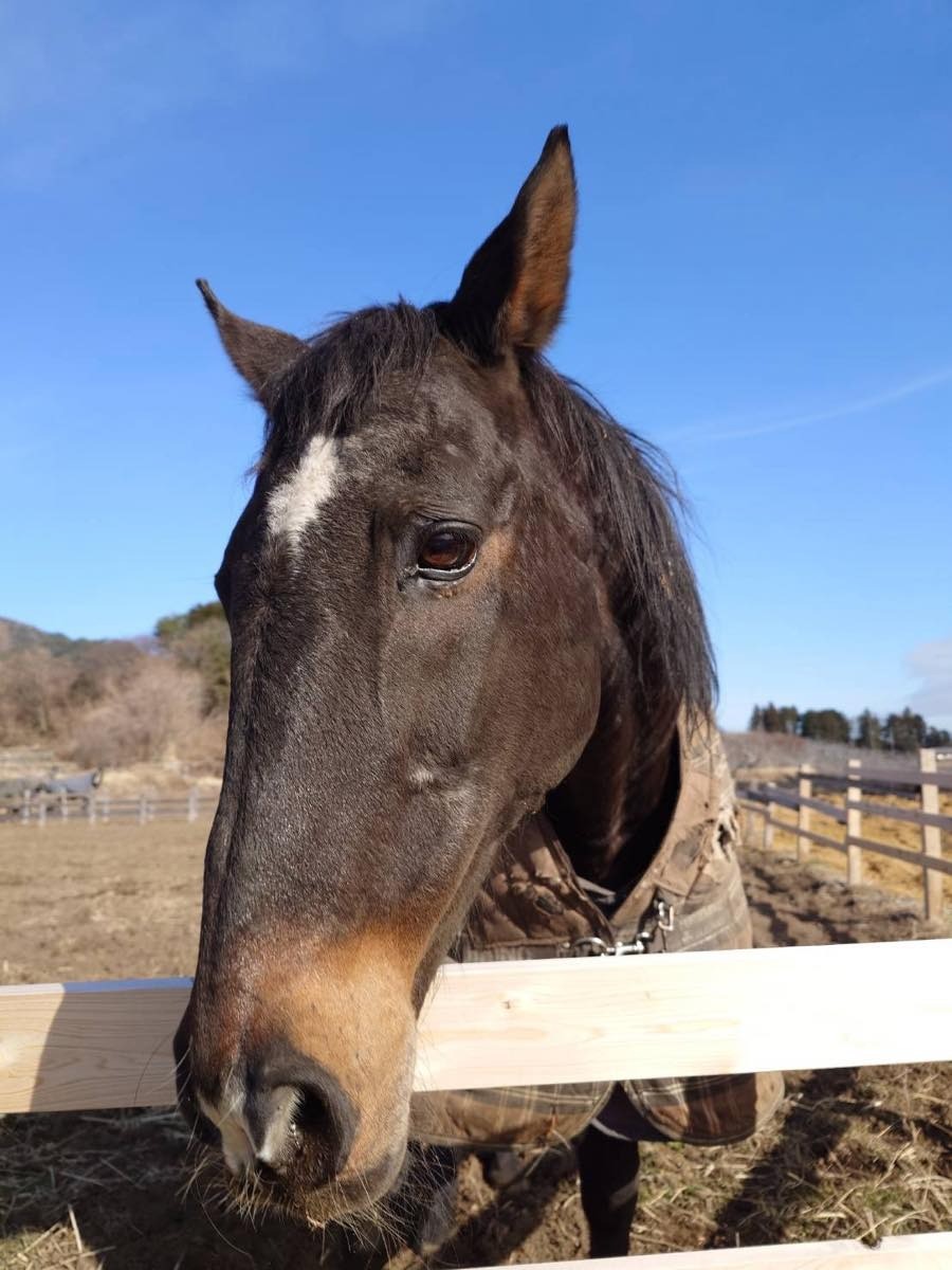 709564a617565eb5be109e118f8574b2-1772616573.jpg 709564a617565eb5be109e118f8574b2-1772616573.jpg