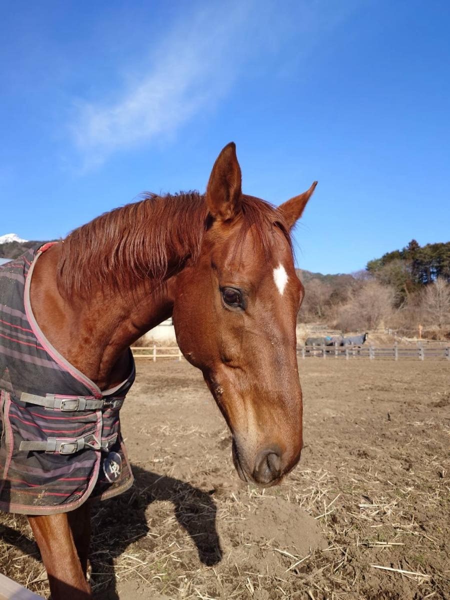 0a5cae065f23c4e050da2b6c6a3a3ef7-1772616804.jpg 0a5cae065f23c4e050da2b6c6a3a3ef7-1772616804.jpg