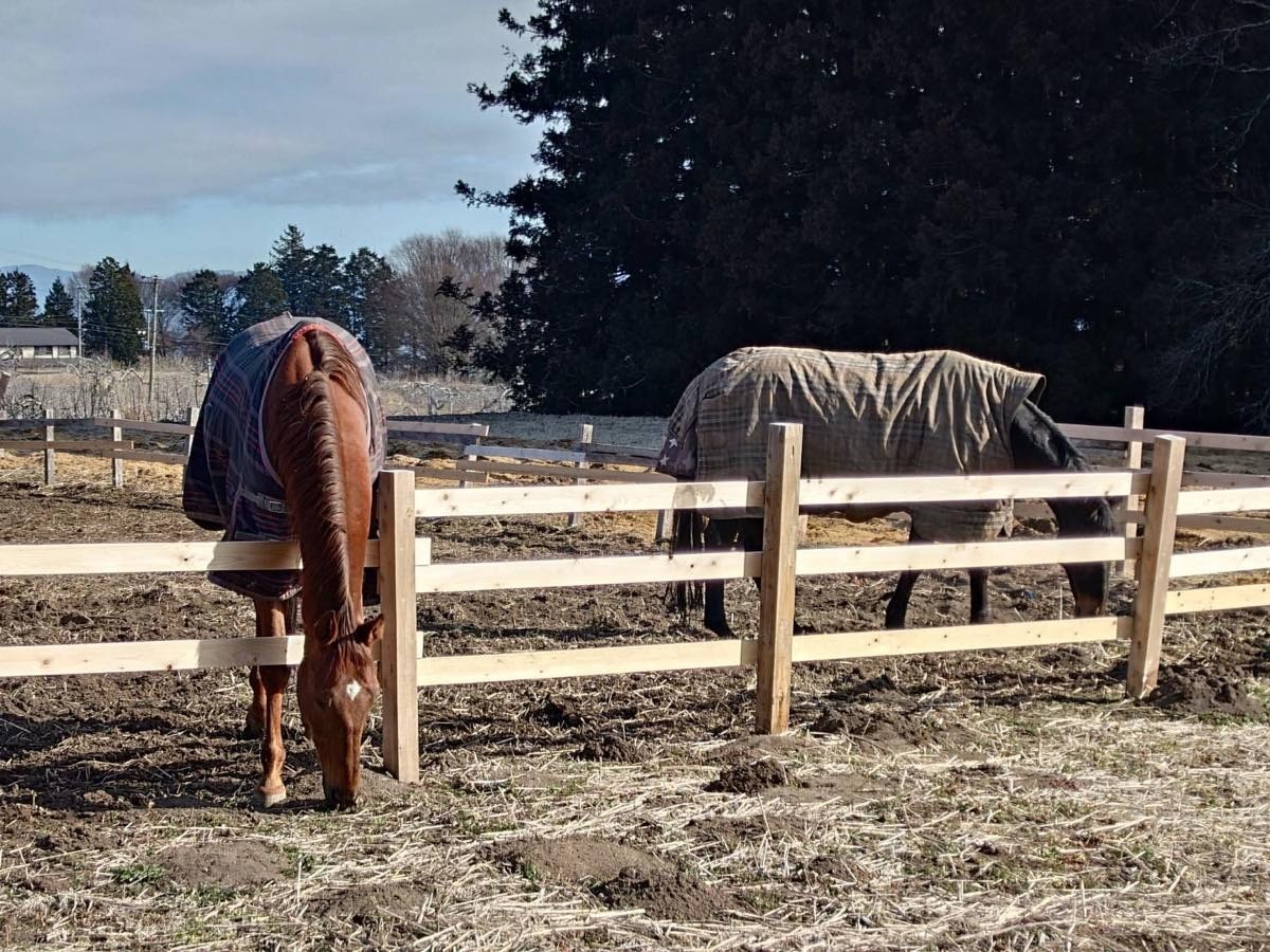 ded6a431a7af4e46b19b56a7a3d767be-1772616866.jpg ded6a431a7af4e46b19b56a7a3d767be-1772616866.jpg