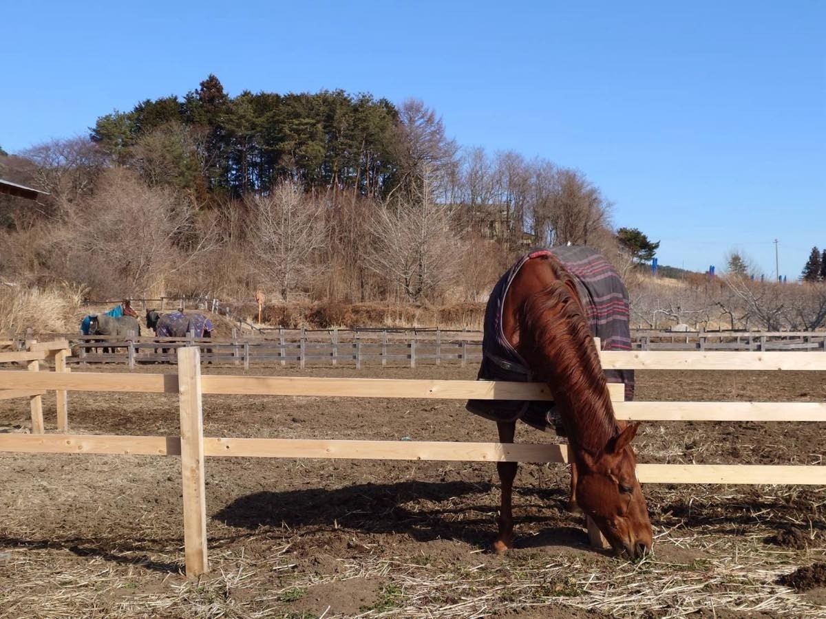 11df547d8471b52508308c0fea5574c9-1772616816.jpg 11df547d8471b52508308c0fea5574c9-1772616816.jpg