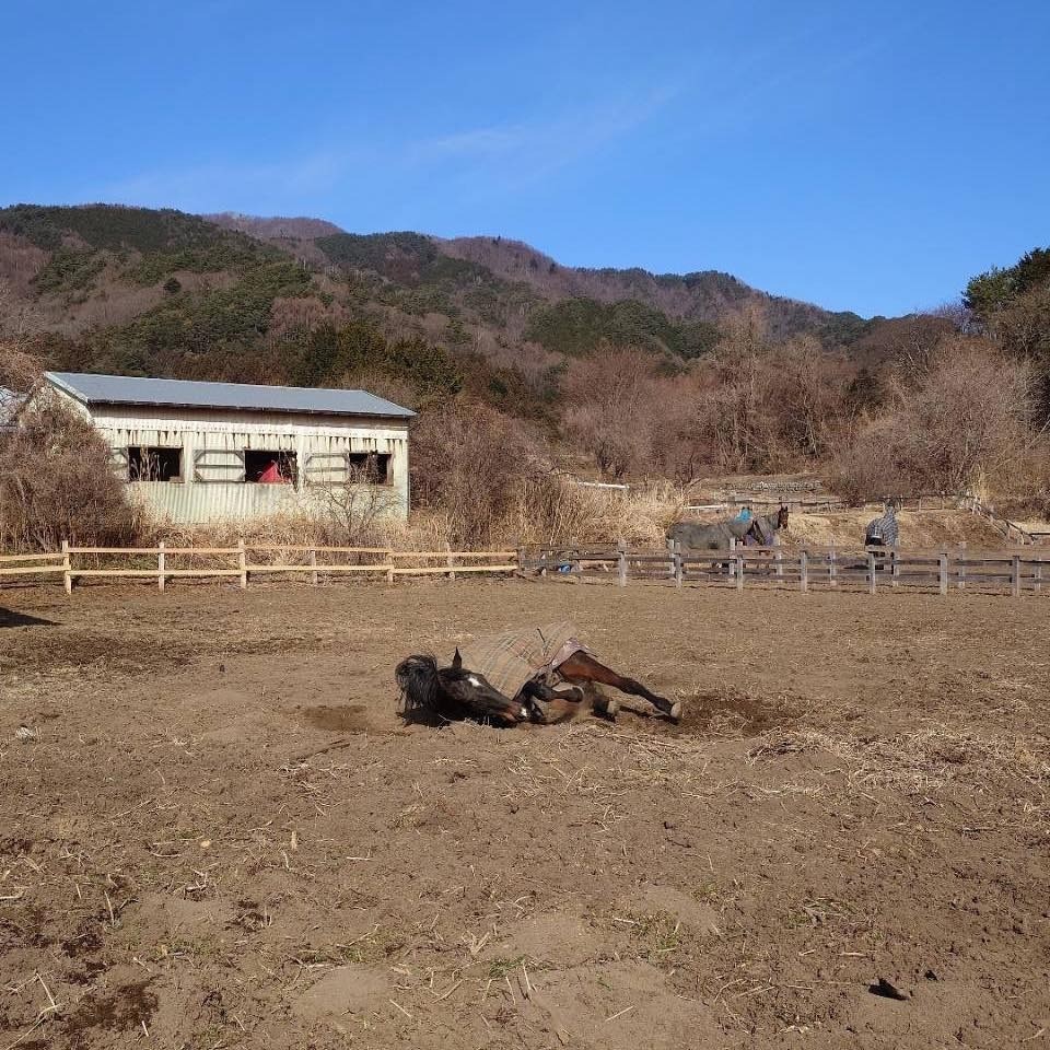 273e701f8ad1ef5328eb4d1d20ed9842-1772618010.jpg 273e701f8ad1ef5328eb4d1d20ed9842-1772618010.jpg