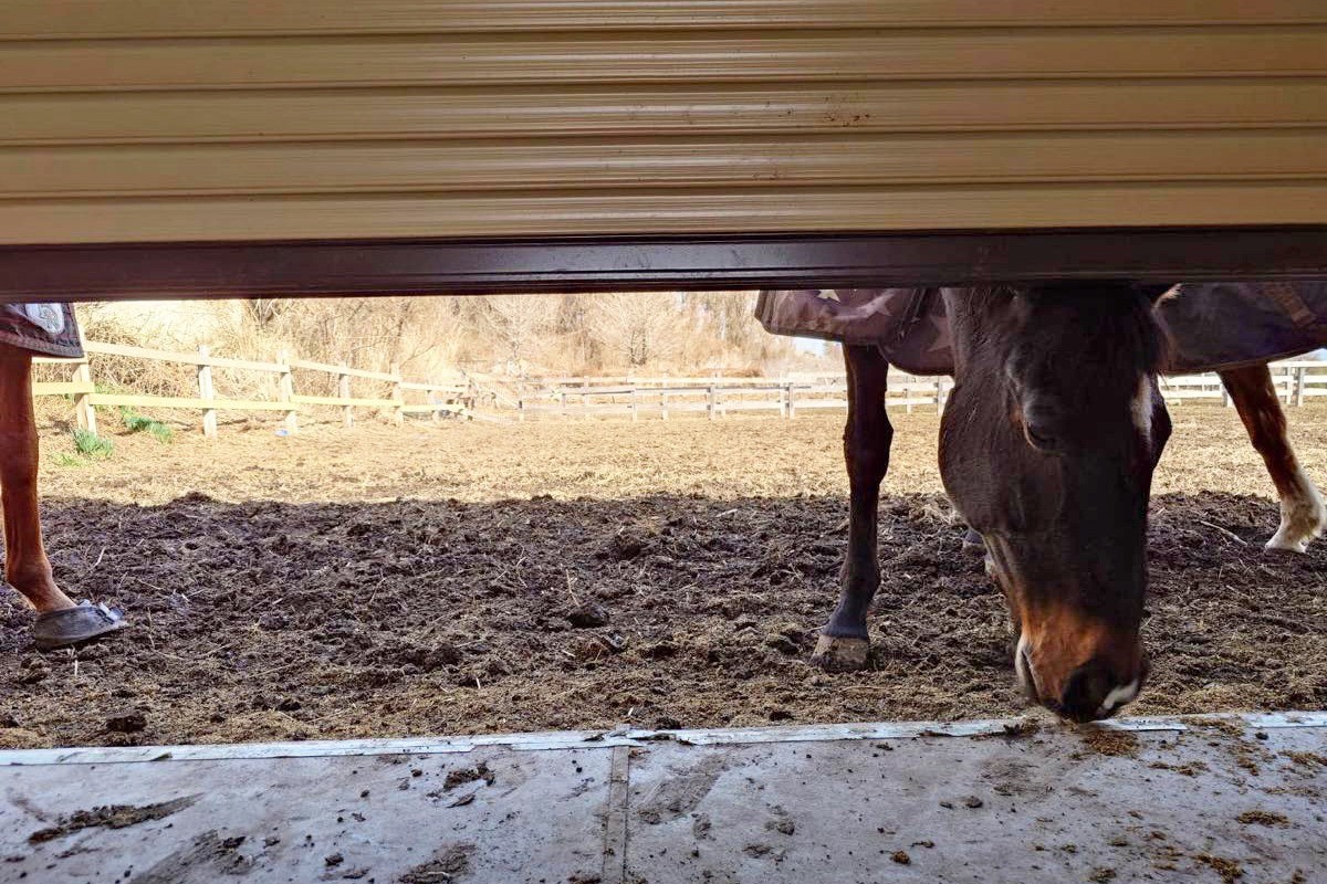 d432c8028e2d942ca1497b1fb710138d-1774946670.jpg d432c8028e2d942ca1497b1fb710138d-1774946670.jpg