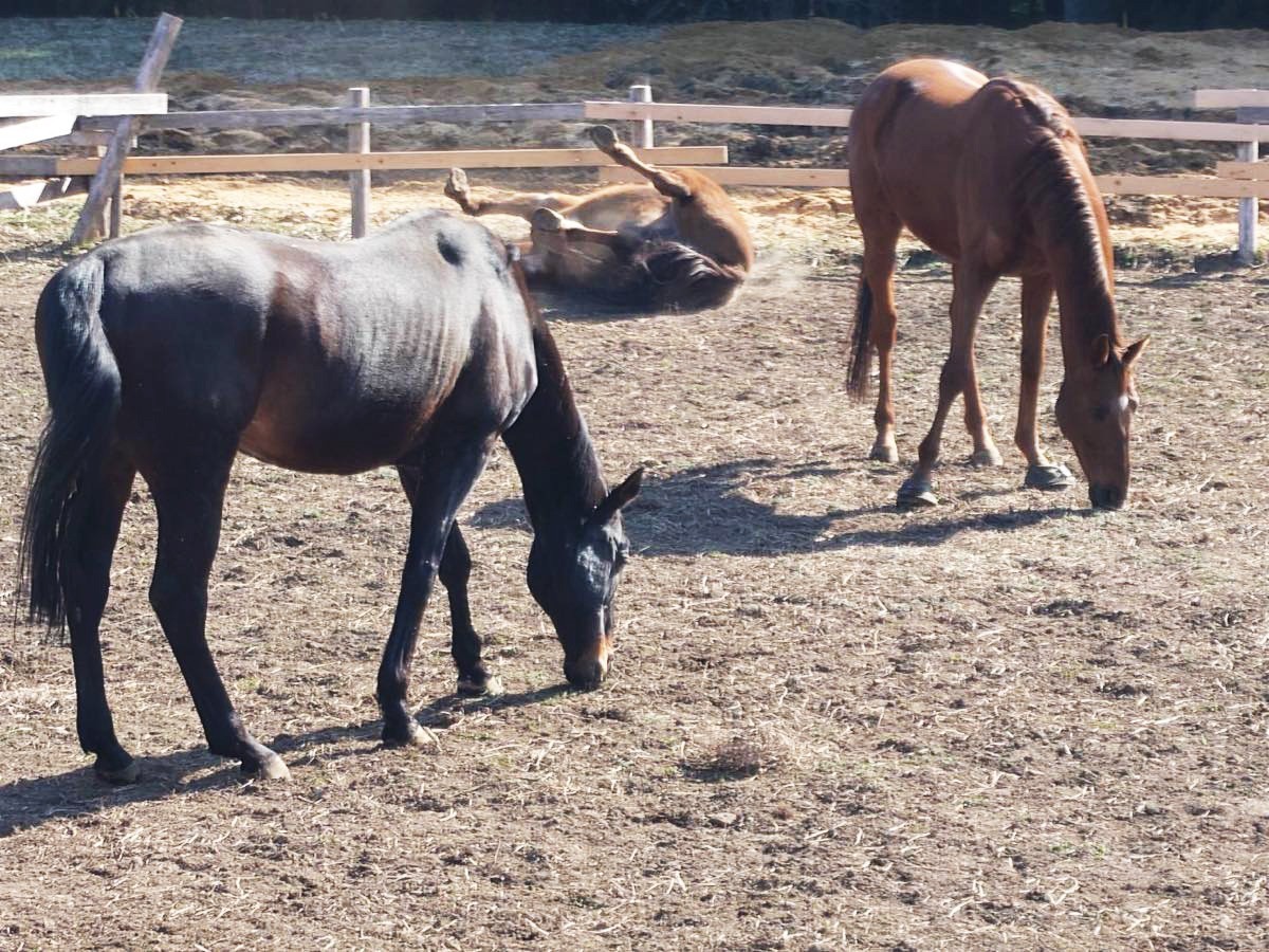 fc0b184ca474e9b5adab460f8bdf3989-1774944255.jpg fc0b184ca474e9b5adab460f8bdf3989-1774944255.jpg