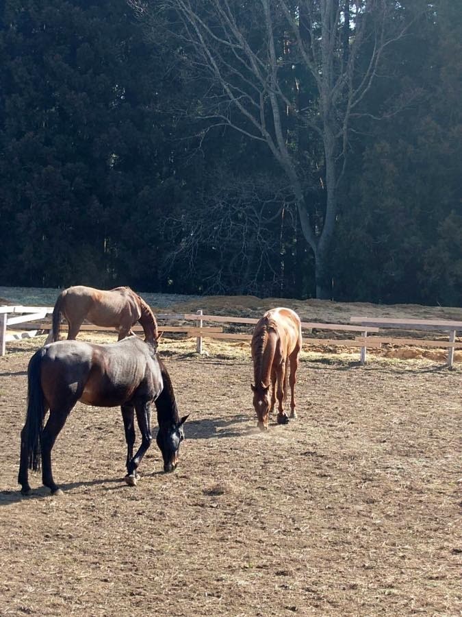 0c681dcdd738bb312ce51d7bc308fb1a-1774948982.jpg 0c681dcdd738bb312ce51d7bc308fb1a-1774948982.jpg