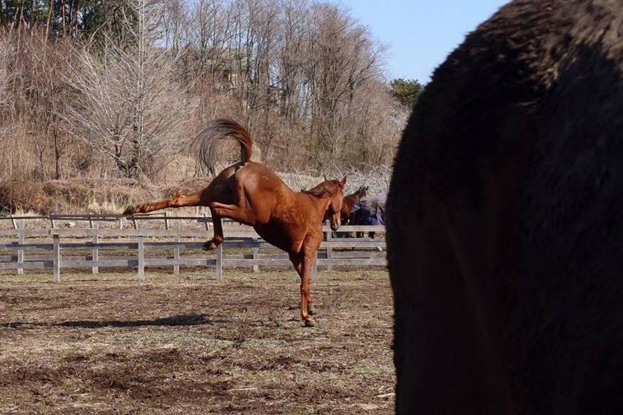 4d424d78ee9347f291f57c481c517f70-1774946556.jpg 4d424d78ee9347f291f57c481c517f70-1774946556.jpg