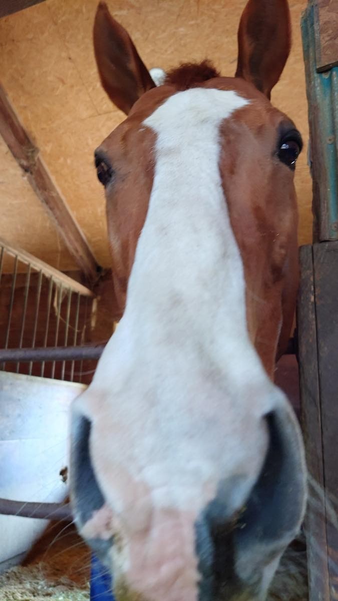 7edffe6348923a0468165998d847e313-1774755656.jpg 7edffe6348923a0468165998d847e313-1774755656.jpg