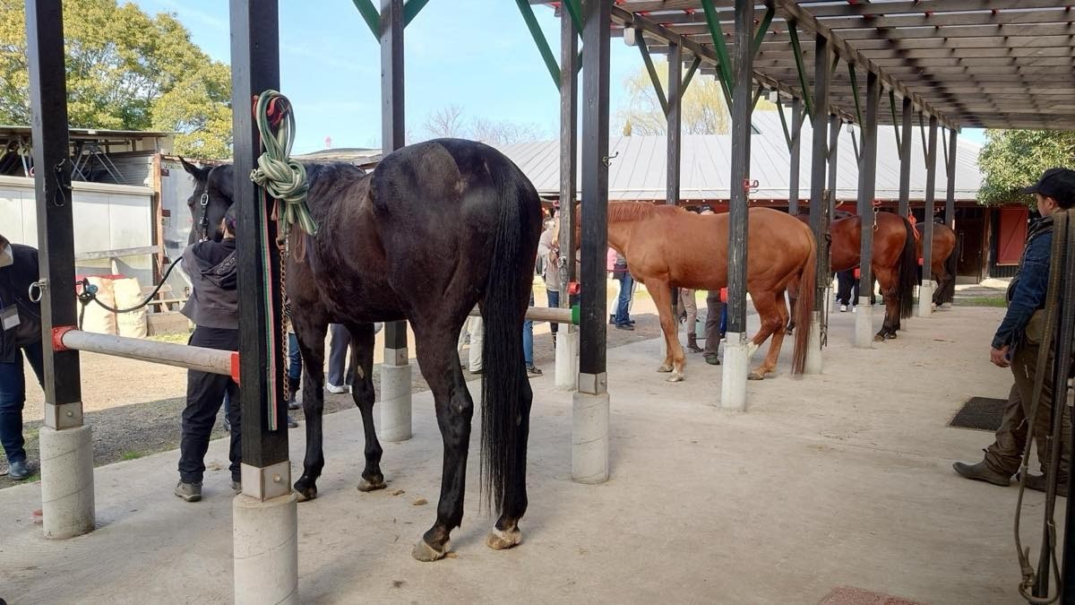 0d2dc655916ad95be3c65ed5c055c4de-1774701563.jpg 0d2dc655916ad95be3c65ed5c055c4de-1774701563.jpg