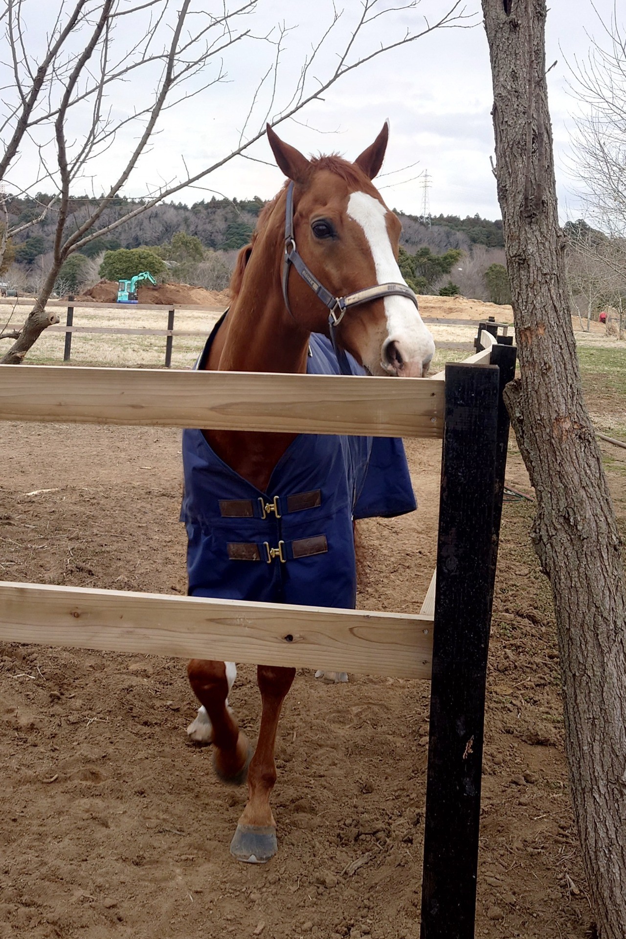 7fb09d25788248a2e63aa1492e448997-1774755593.jpg 7fb09d25788248a2e63aa1492e448997-1774755593.jpg