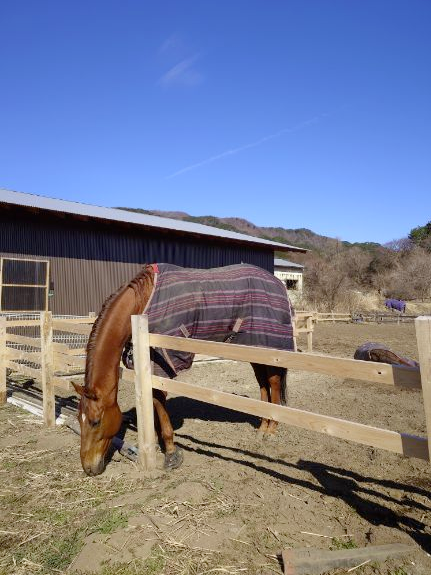 26db9dda9dd6c1d14ba384f2bfd64775-1774934895.png 26db9dda9dd6c1d14ba384f2bfd64775-1774934895.png