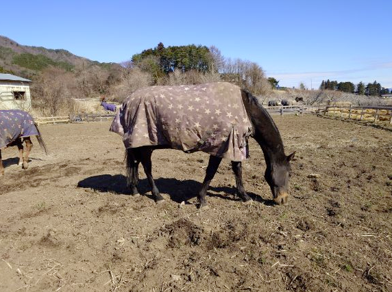 7345d24a238f21f4e23c539b33fd4a11-1774949100.png 7345d24a238f21f4e23c539b33fd4a11-1774949100.png