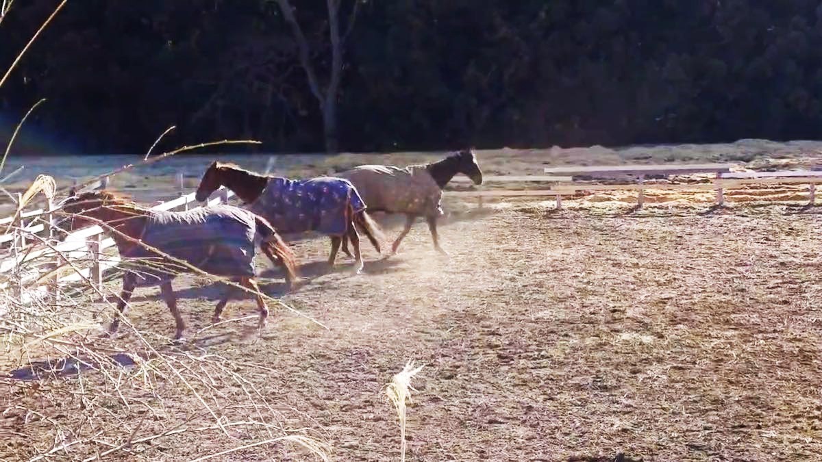 3c34097e10c2d5bfe627765d9c352a5a-1774938144.jpg 3c34097e10c2d5bfe627765d9c352a5a-1774938144.jpg