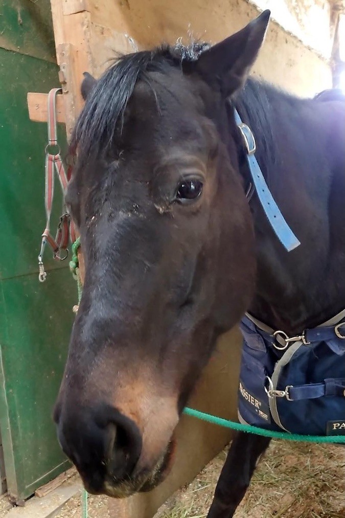 d36e60191fc6a15858c14b14b752e2cc-1772419828.jpg d36e60191fc6a15858c14b14b752e2cc-1772419828.jpg