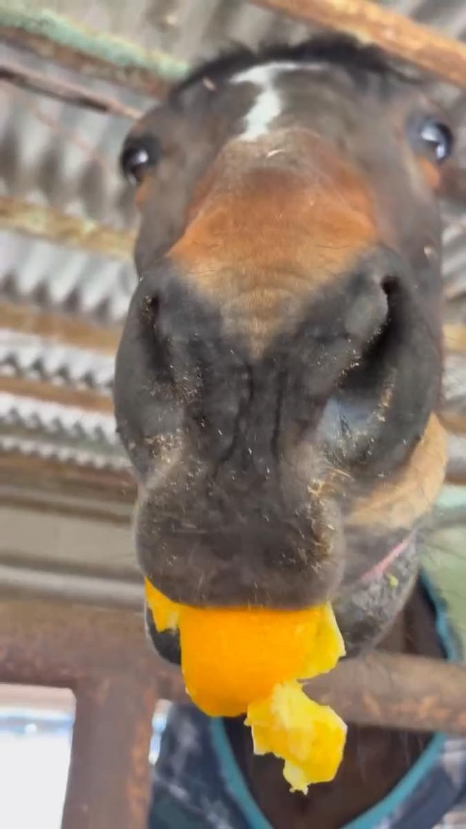 22bba4e3874408f152ecf0988e0c1da6-1772348074.jpg 22bba4e3874408f152ecf0988e0c1da6-1772348074.jpg