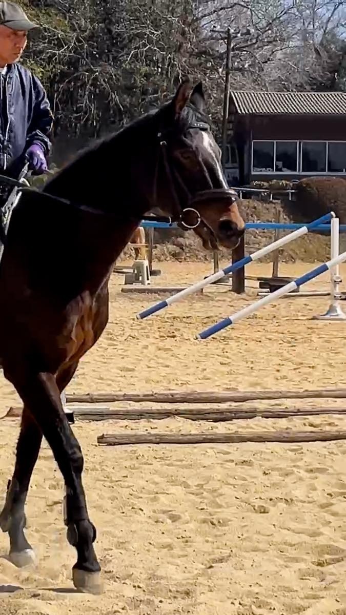 2e6581df3e05bb54e1b6450c496e91d9-1772350502.jpg 2e6581df3e05bb54e1b6450c496e91d9-1772350502.jpg