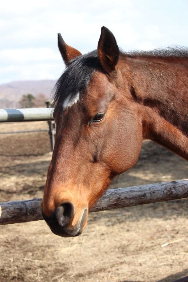 c38b6b2caae9ccb3c4221ae41d07dce6-1773581875.jpg c38b6b2caae9ccb3c4221ae41d07dce6-1773581875.jpg